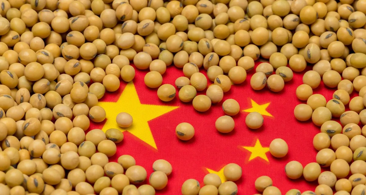 Processadoras chinesas de soja enfrentam custos maiores e margens negativas