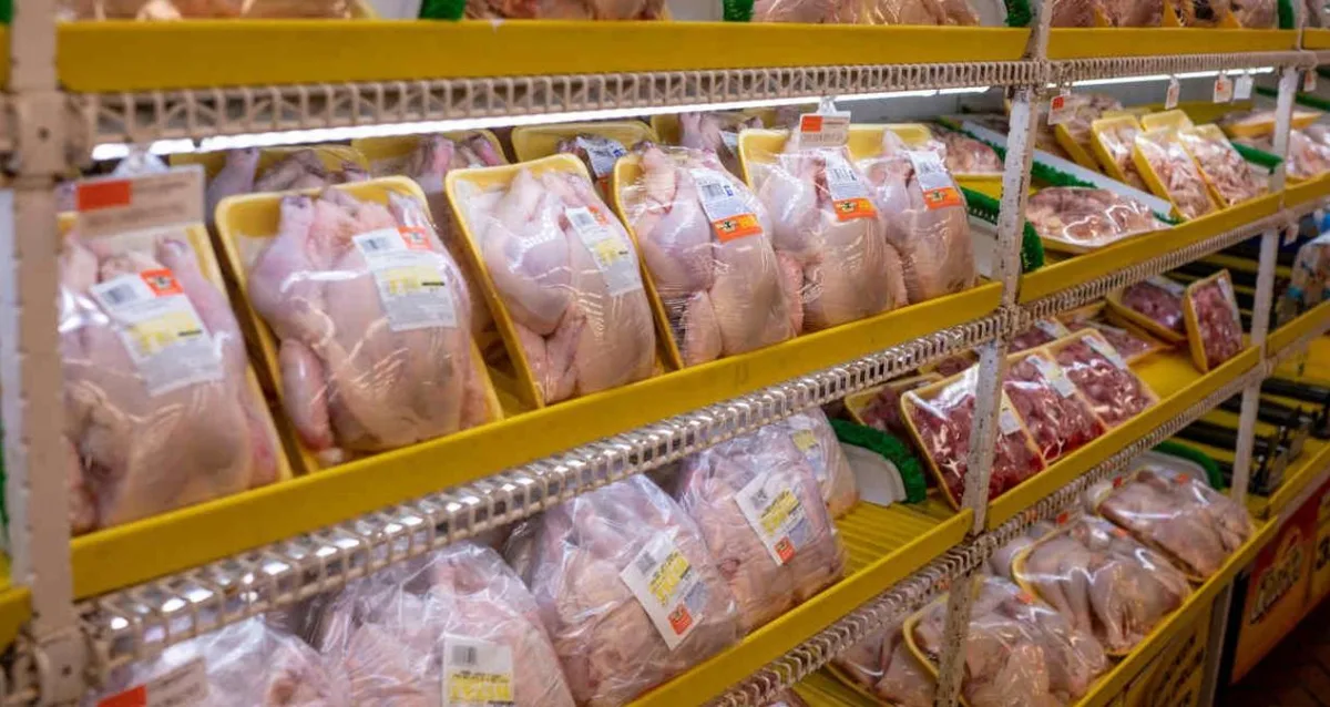 UE prevê possível retomada de importações brasileiras de frango e mel