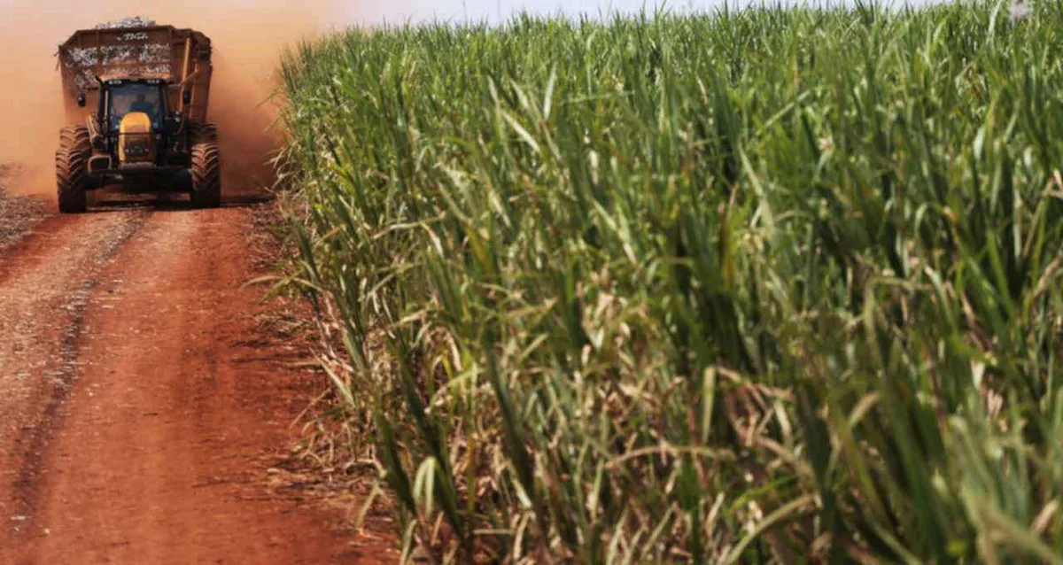 Goldman Sachs alerta para pressão sobre preços agrícolas com choques simultâneos