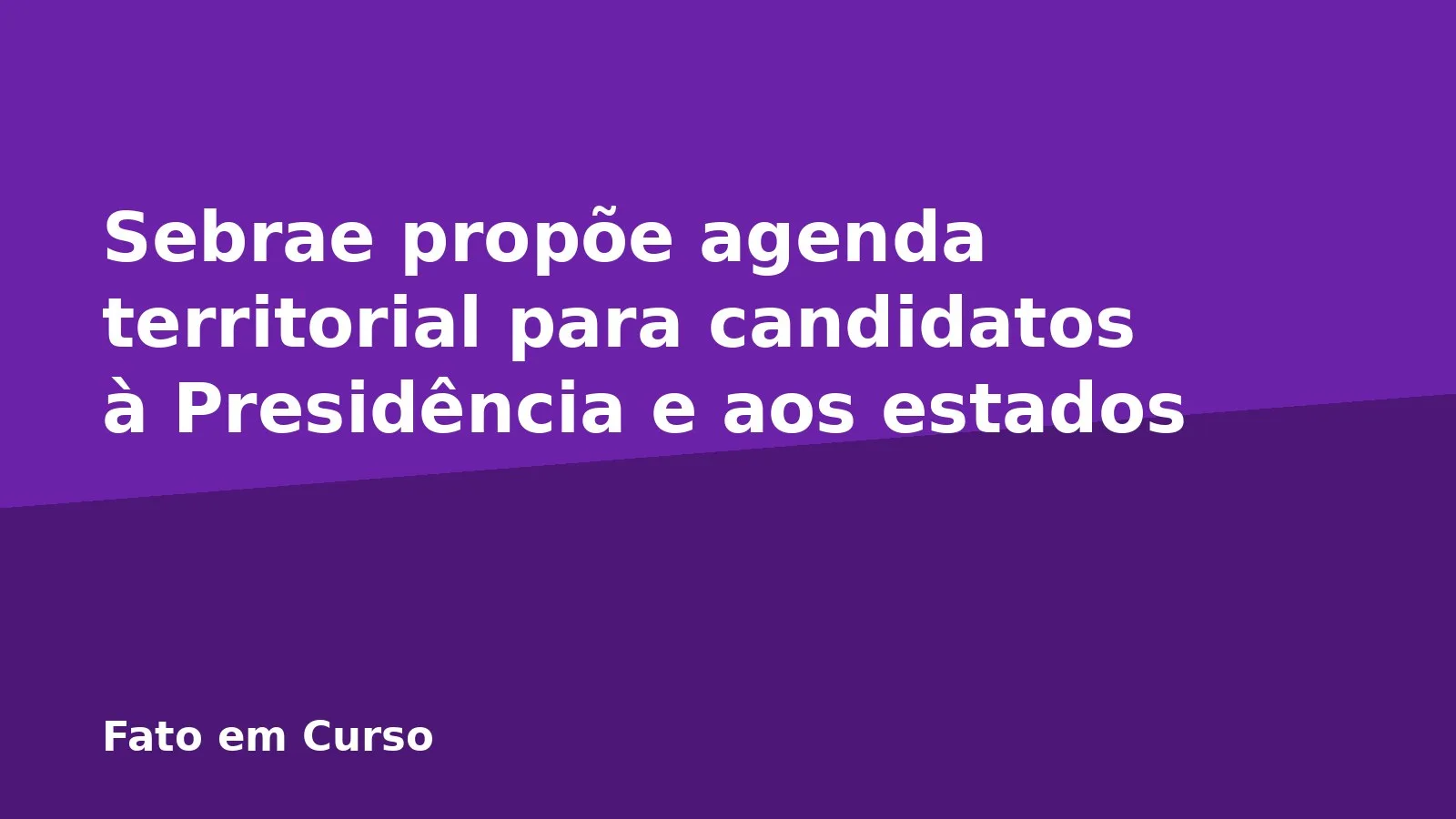 Sebrae propõe agenda territorial para candidatos à Presidência e aos estados