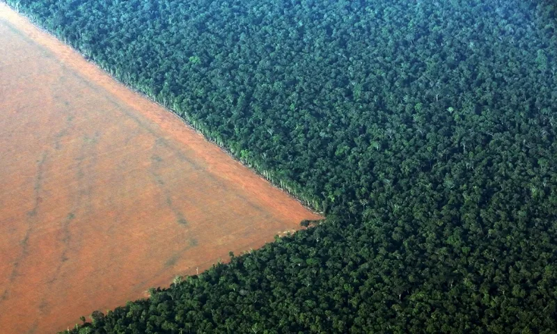STF valida regra do Código Florestal para APPs de reservatórios antigos