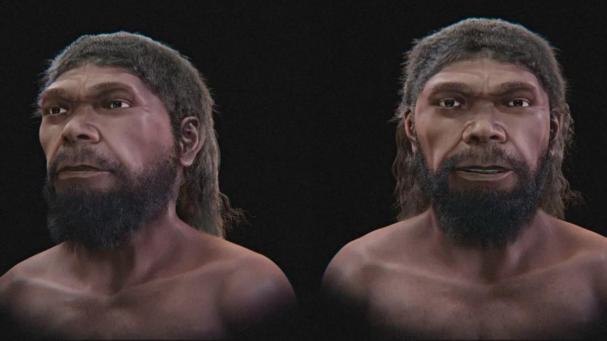 Reconstrução digital estima rosto de Homo sapiens de 315 mil anos