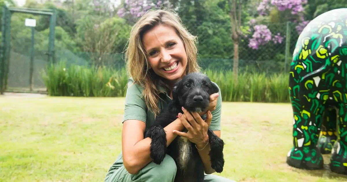 Luisa Mell compara arrecadação em live com custos de resgates animais