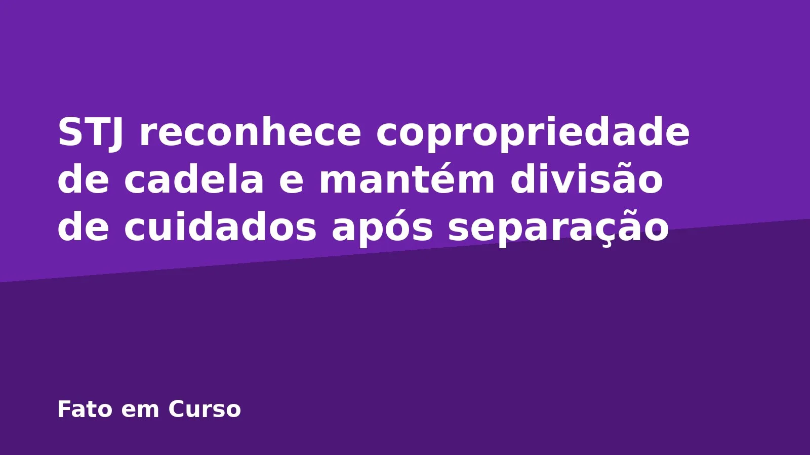 STJ reconhece copropriedade de cadela e mantém divisão de cuidados após separação