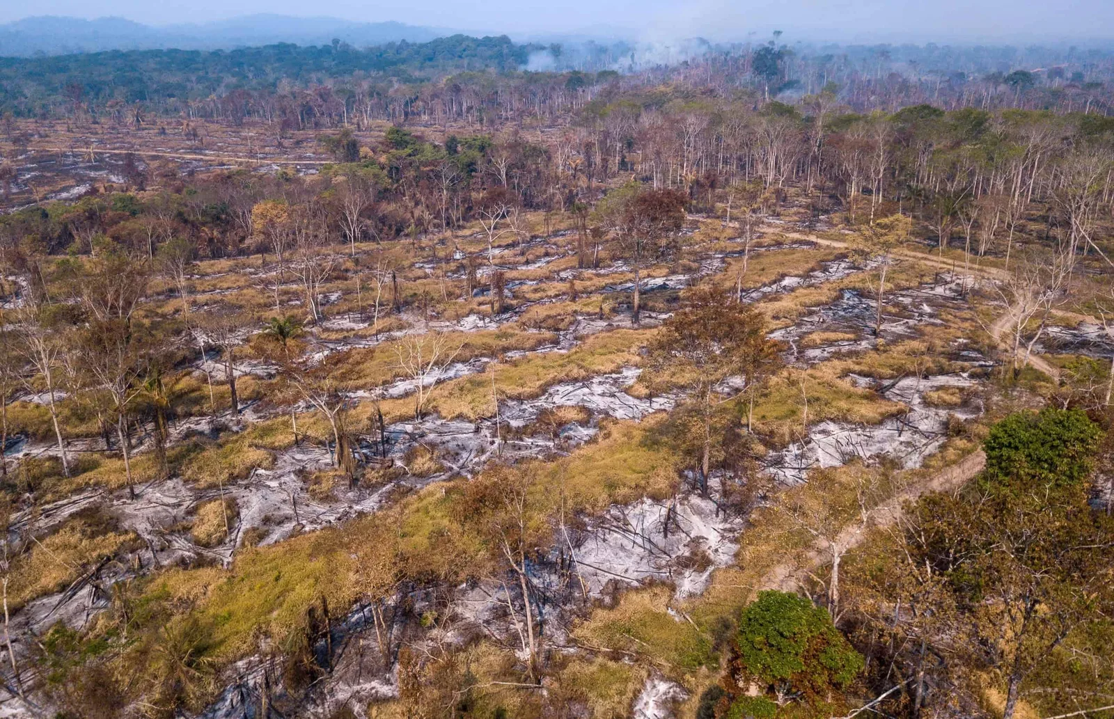 Centro-norte da Amazônia registra avanço mais rápido de extremos climáticos