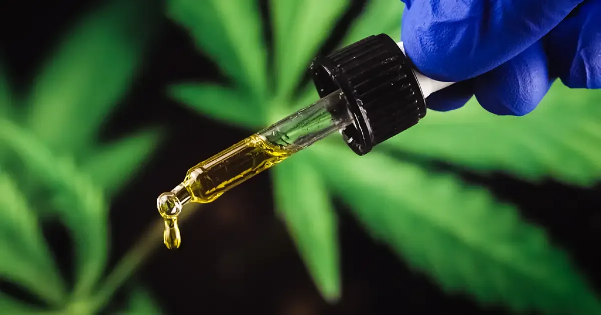 AbraRio obtém autorização definitiva para cultivar cannabis medicinal no Rio