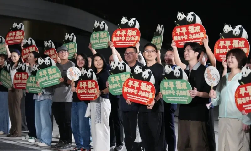 Zoo Atlanta amplia instalações para receber dois pandas chineses por dez anos
