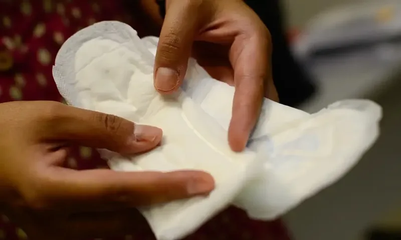 Empresa sul-africana planeja levar absorvente biodegradável ao Brasil
