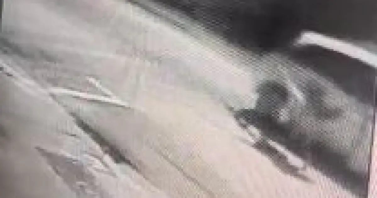 Adolescente escapa de sequestro ao saltar de carro em movimento no Rio