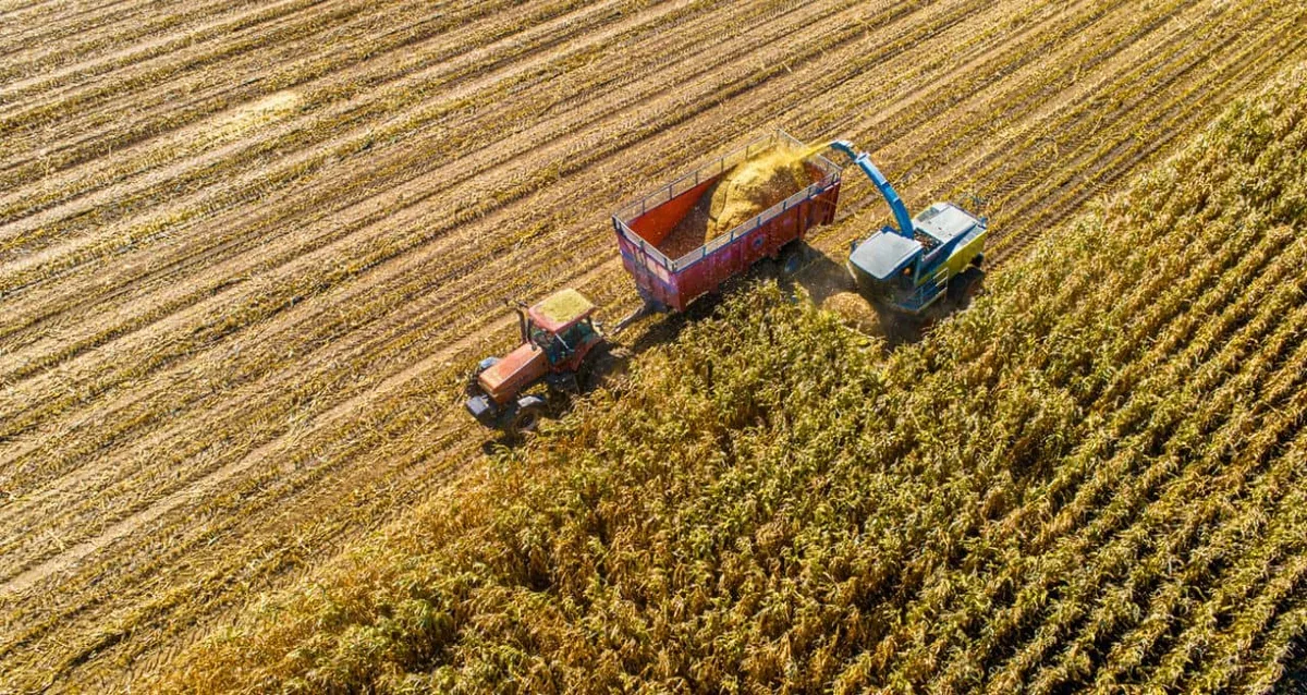 USDA mantém suporte para milho e soja, mas prevê espaço para correções