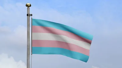 TSE suspende efeitos de decisão sobre cota feminina em caso de homem trans