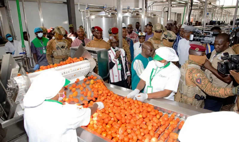 Burkina Faso avalia cooperação agrícola com empresas russas