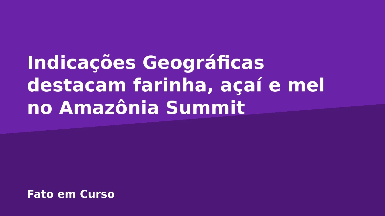 Indicações Geográficas destacam farinha, açaí e mel no Amazônia Summit